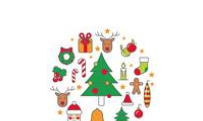 What did you think about Greater Shepparton’s Christmas decorations?