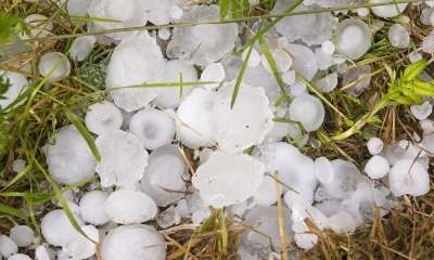 23 March Hailstorm Financial Support