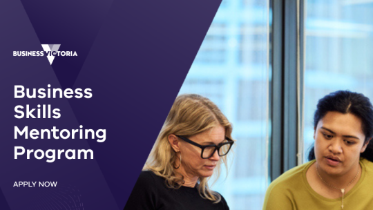 Small Business Mentoring program 