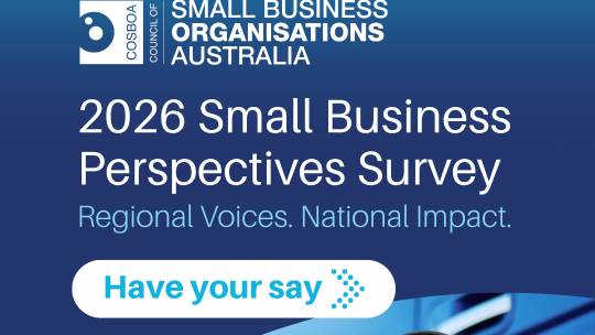Small Business Perspectives Survey