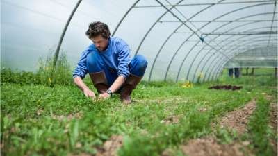 Bushfire Planning - Farms & Farming Businesses